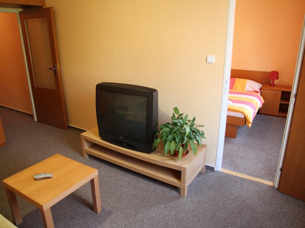 Parkhotel オパヴァ 部屋 写真