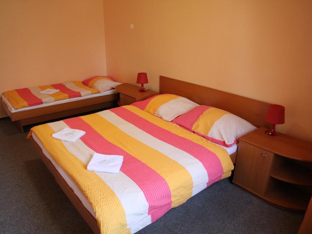 Parkhotel オパヴァ 部屋 写真