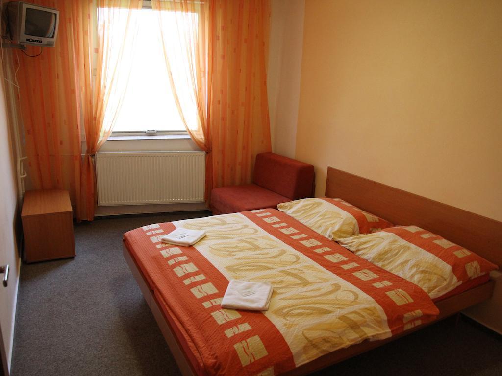 Parkhotel オパヴァ 部屋 写真